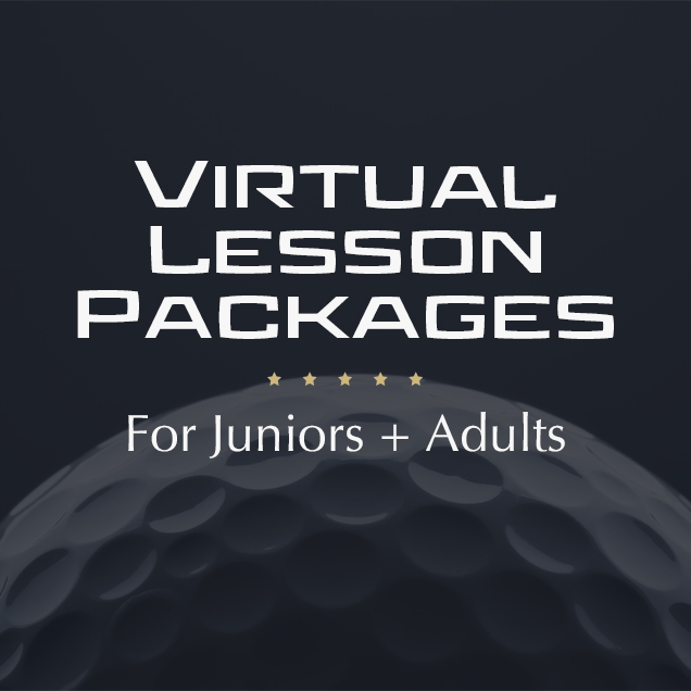 virtual-lessons