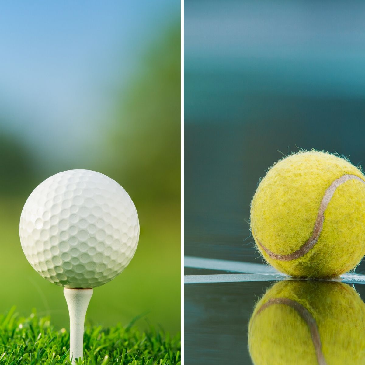 Individual Combo Membership